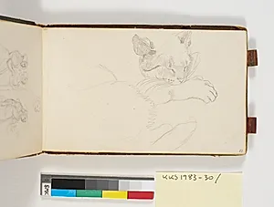 Studie af en kat by P.C. Skovgaard