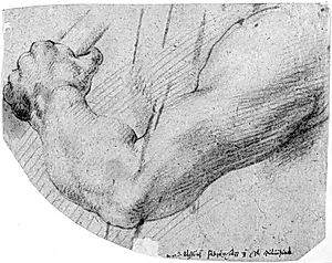 Studie af en mands venstre arm by Willem Panneels