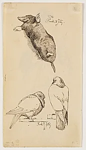 Studie af en muldvarp og to fugle by Johan Thomas Lundbye