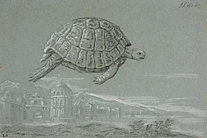 Studie af en skildpadde, og prospekt af en befæstet by ved havet (Venedig)
