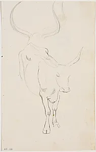 Studie af en stående okse, øverst blyantstudie af oksehorn by Johan Thomas Lundbye