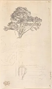 Studie af en trætop by Caspar David Friedrich