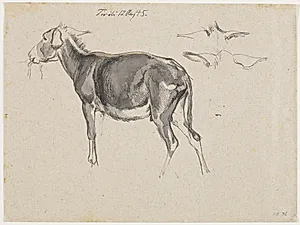 Studie af et æsel og to studier af dets ører by Johan Thomas Lundbye