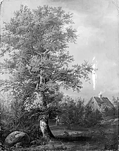 Studie af et bøgetræ ved Engelholm på Sjælland by J.C. Dahl