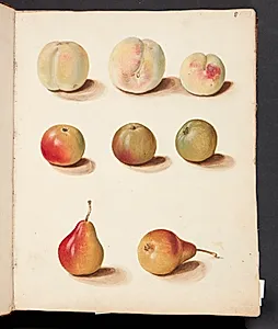 Studie af fersken, æble og pære by Johanna Fosie