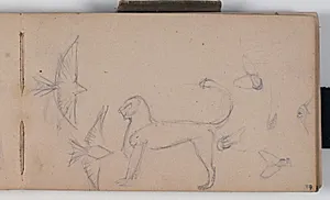 Studie af flyvende fugle, fluer og et dyr by Niels Larsen Stevns