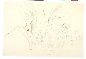Studie af græs og andre planter by Dankvart Dreyer