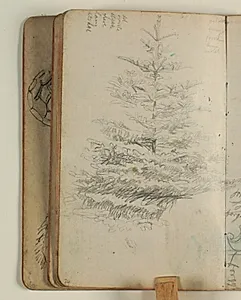 Studie af grantræ, samt notater by Niels Larsen Stevns