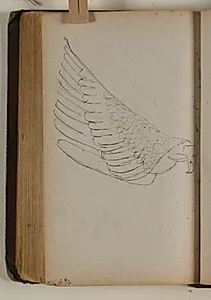 Studie af grib by Niels Larsen Stevns