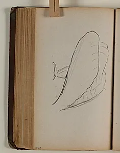 Studie af grib by Niels Larsen Stevns
