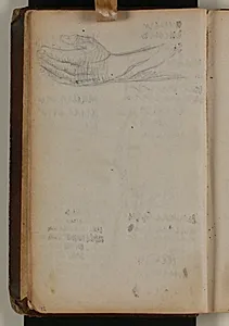 Studie af hånd og underarm by Niels Larsen Stevns