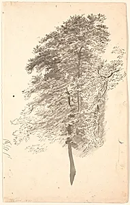 Studie af høje slanke træer med løv. by P.C. Skovgaard