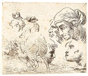 Studie af hoveder by Karel Du Jardin