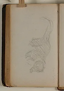 Studie af næsebjørn by Niels Larsen Stevns