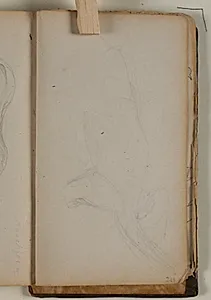 Studie af næsebjørn by Niels Larsen Stevns