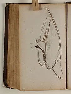 Studie af ørn by Niels Larsen Stevns