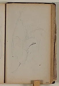 Studie af ørn by Niels Larsen Stevns