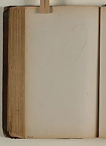 Studie af ørn by Niels Larsen Stevns