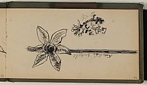 Studie af påskelilje med artsangivelse by Niels Larsen Stevns