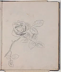 Studie af rose by Niels Larsen Stevns