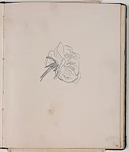 Studie af rose by Niels Larsen Stevns