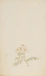 Studie af roser by P.C. Skovgaard