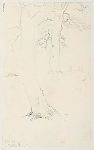 Studie af stammer by Dankvart Dreyer