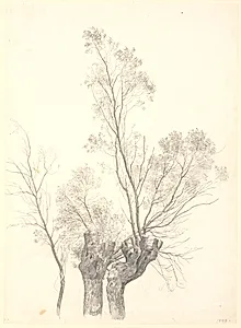 Studie af stynede piletræer. by P.C. Skovgaard