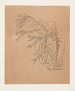 Studie af træer by J.P. Møller