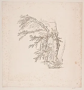 Studie af træer by J.P. Møller