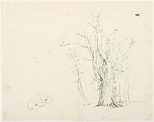 Studie af træstammer by Dankvart Dreyer