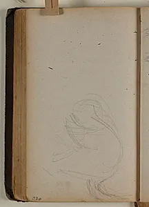 Studie af vaskebjørn by Niels Larsen Stevns