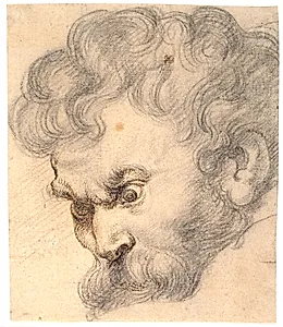 Studie fra "Samson og løven". Samsons ansigt by Ubekendt
