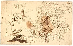Studie med træer, planter og stubbe by Dankvart Dreyer