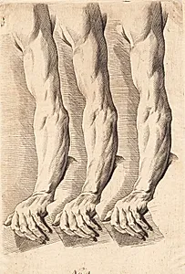 Studieblad af arme by J.F. Clemens