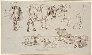 Studieblad fra Vognserup. Foroven studier af køer, f.n. land-skab med stående og liggende køer by Johan Thomas Lundbye