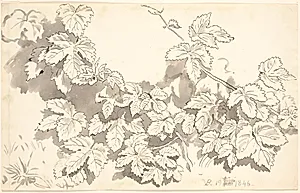 Studieblad. Kvalkved? by P.C. Skovgaard