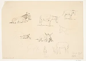 Studieblad med dyr. by Agnes Lunn