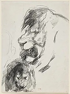 Studieblad med to hanløvehoveder, f.o. i profil mod v., f.n. set ovenfra by Pierre Andrieu