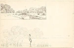 Studieblad med to landskaber, foroven en å bag hvis flade bredder man både t.h. og t.v. ser skovbryn. Forneden en sø med en hejre mellem siv, i baggrunden skov og bakker. by P.C. Skovgaard