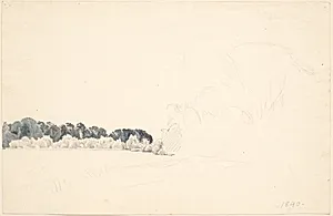 Studieblad. T.v. et skovbryn, t.h. blyantskrads (trækupler). by P.C. Skovgaard