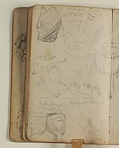 Studier af ægyptiske statuehoveder og blomster med farveangivelser by Niels Larsen Stevns