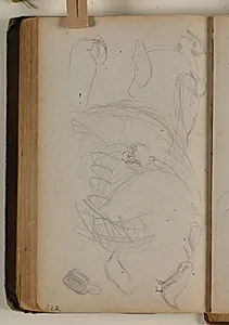 Studier af ænder, høns og småfugle by Niels Larsen Stevns