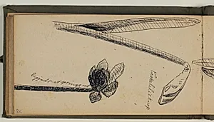 Studier af blomster, bl.a. påskelilje, med artsangivelser by Niels Larsen Stevns