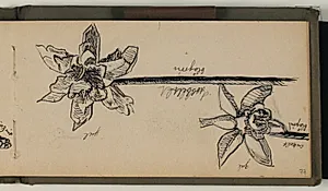 Studier af blomster med ats- og farveangivelser by Niels Larsen Stevns