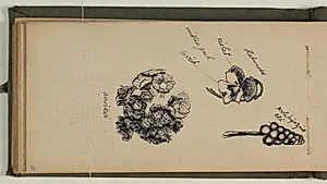 Studier af blomster med ats- og farveangivelser by Niels Larsen Stevns