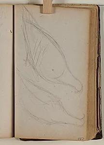 Studier af duer by Niels Larsen Stevns
