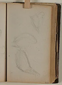 Studier af duer by Niels Larsen Stevns