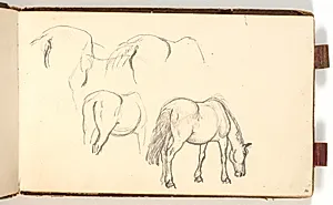 Studier af en drikkende hest by P.C. Skovgaard