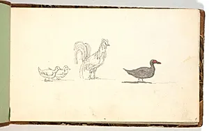 Studier af en hane samt andefugle by Martinus Rørbye